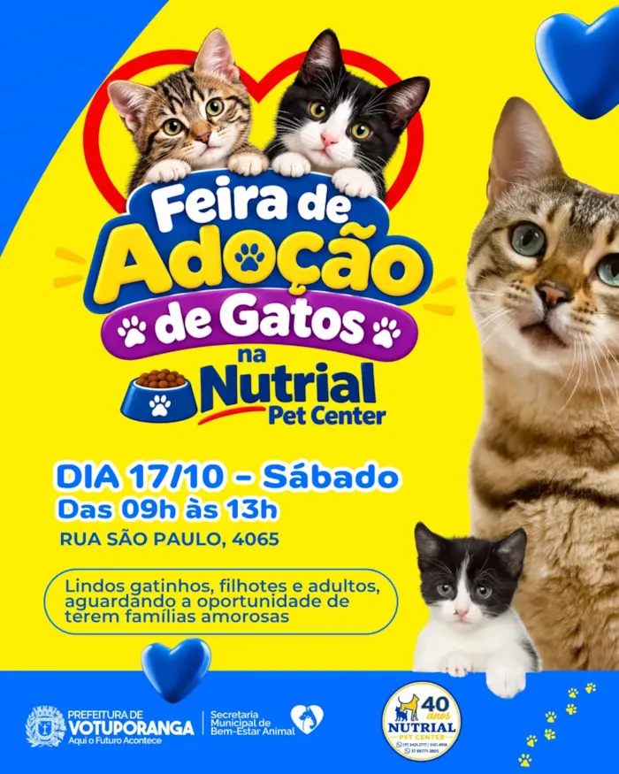 Feira de Adoção de Gatos em Votuporanga no dia 17/10, das 09h às 13h, na Nutrial Pet Center (Rua São Paulo, 4065). Encontre seu novo amigo felino!