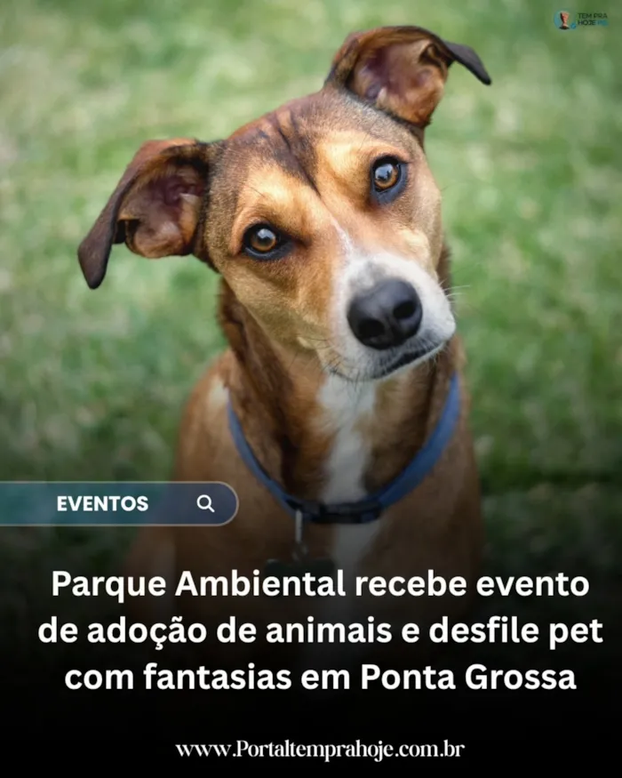 Evento de adoção em Ponta Grossa acontece em 17 de outubro, das 9h às 17h, com desfile pet, fantasias e atividades para a família.