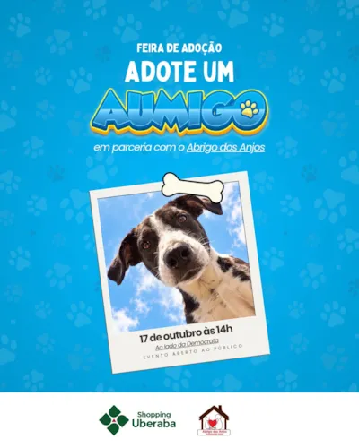 Feira de Adoção Adote um Amigo em Uberaba
