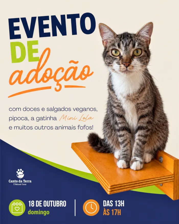 Evento de adoção em São Paulo acontece em 18 de outubro, das 13h às 17h, com cães, gatos, doces veganos e pipoca.