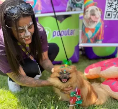 Encãotrinho: feira de adoção em São José dos Campos