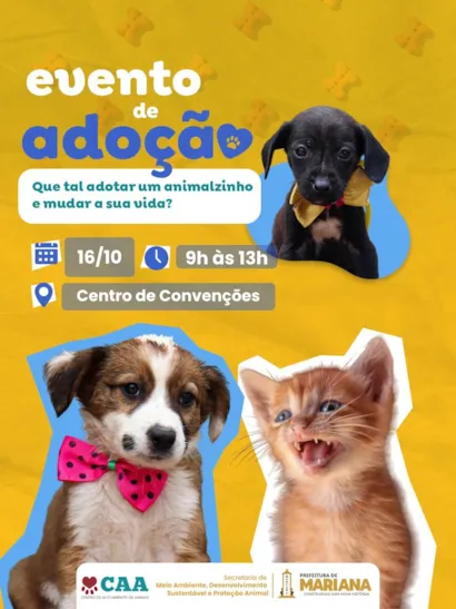 Evento de adoção em Mariana nesta sexta-feira (16/10)