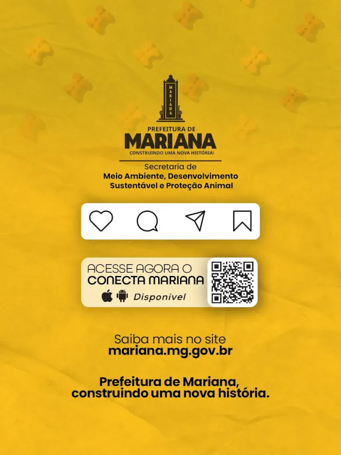 Evento Evento de adoção em Mariana nesta sexta-feira (16/10)