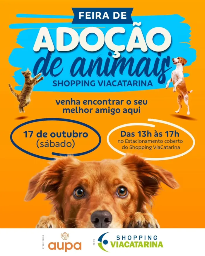 Feira de adoção de animais no Shopping ViaCatarina em Palhoça no dia 17 de outubro, das 13h às 17h. Adote um novo amigo e transforme uma vida.