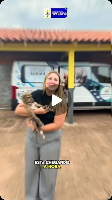 Feirinha de adoção em Pimenta Bueno acontece em 21 de outubro, às 14h, na Praça do BNH, com cães e gatos à espera de um lar.