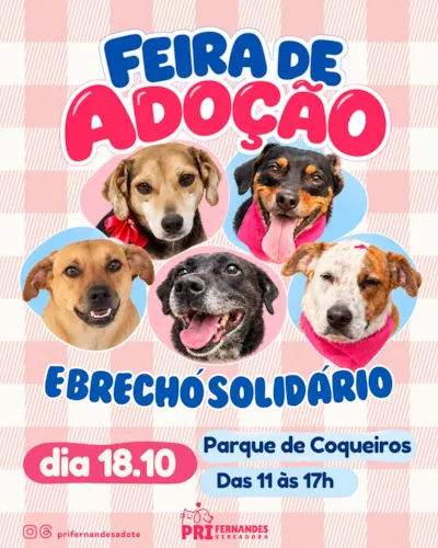 Feira de adoção em Florianópolis e brechó solidário