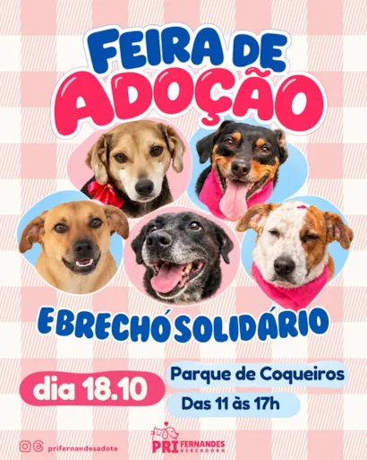 Feira de adoção em Florianópolis e brechó solidário