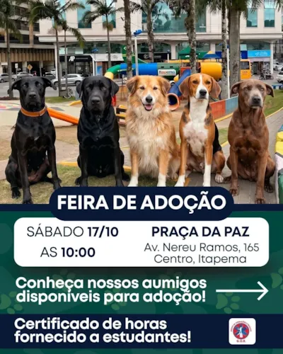 Feira de adoção de cães e gatos em Itapema