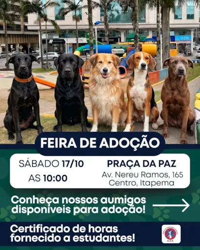 Feira de adoção de cães e gatos em Itapema