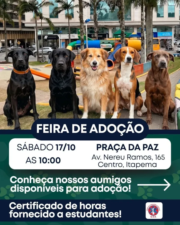Evento de adoção em Itapema acontece em 17 de outubro, às 10h, na Praça da Paz, com cães e gatos castrados e vacinados.