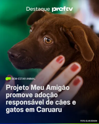Feira de adoção em Caruaru acontece dias 14 e 15 de outubro, das 9h às 14h, no Marco Zero, com cães e gatos resgatados.