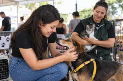 Feirinha de adoção de cães e gatos em Atibaia