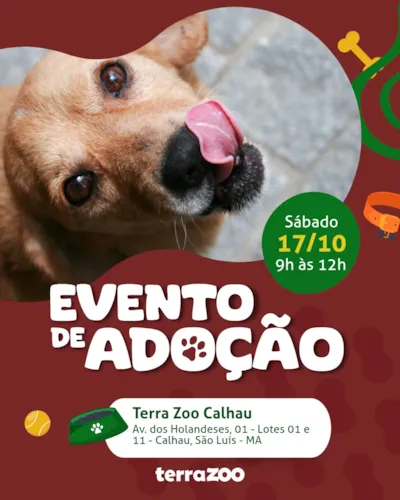 Evento de adoção em São Luís: Terra Zoo Calhau