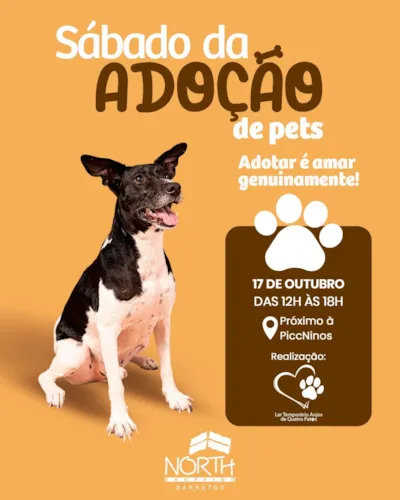 Feira de adoção de pets em Barretos
