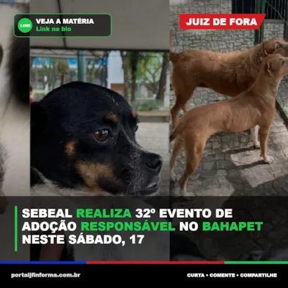 Adoção responsável em Juiz de Fora: Sebeal realiza evento no Bahapet