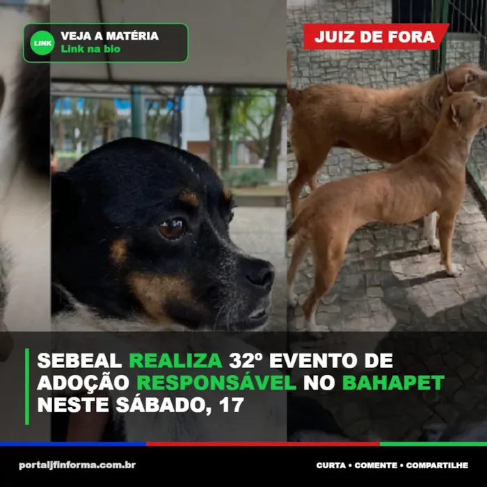 Evento Adoção responsável em Juiz de Fora: Sebeal realiza evento no Bahapet