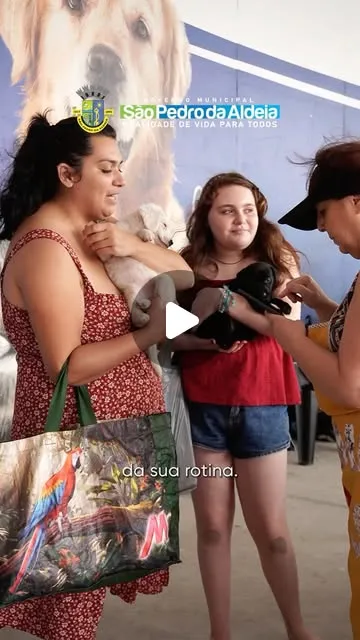 Feira de Adoção de Cães e Gatos em São Pedro da Aldeia