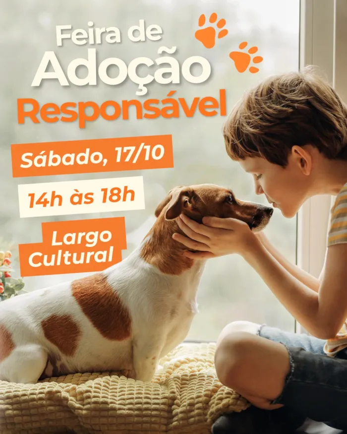 Feira de adoção em Porto Alegre acontece em 17 de outubro, das 14h às 18h, no Shopping TOTAL, com animais à espera de novas famílias.