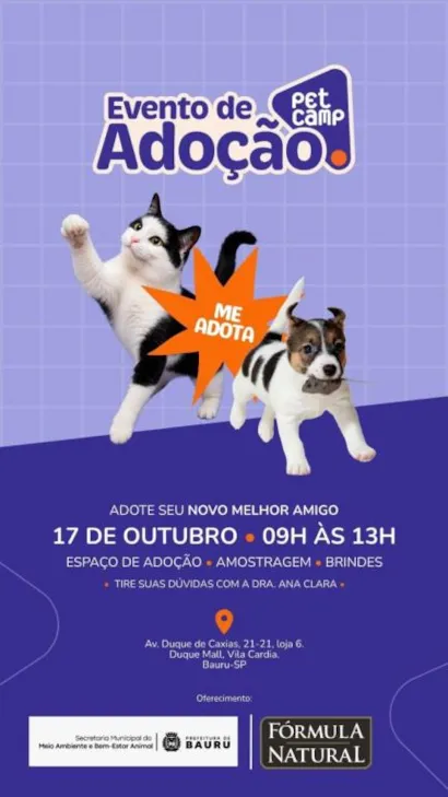 Evento de adoção de cães filhotes em Bauru