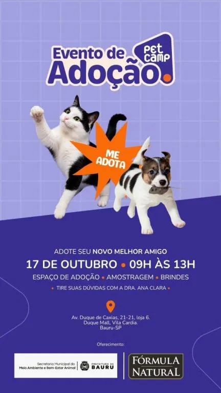 Evento de adoção em Bauru ocorre em 17 de outubro, das 9h às 13h, com cães filhotes vacinados, vermifugados e apoio à castração.