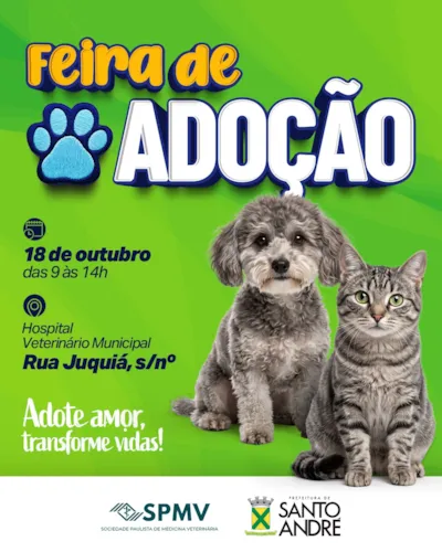 Feira de adoção em Santo André reúne cães e gatos