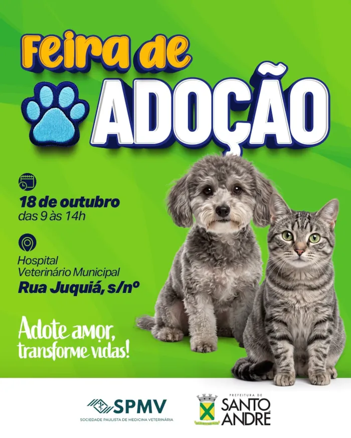 Feira de adoção em Santo André acontece em 18 de outubro, das 9h às 14h, com cães e gatos à espera de um lar responsável.
