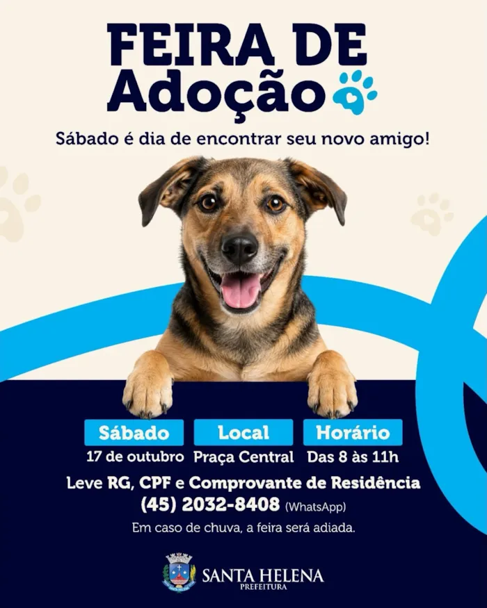 No sábado, 17 de outubro, Santa Helena recebe feira de adoção das 8h às 11h, na Praça Central, com animais à espera de um lar.