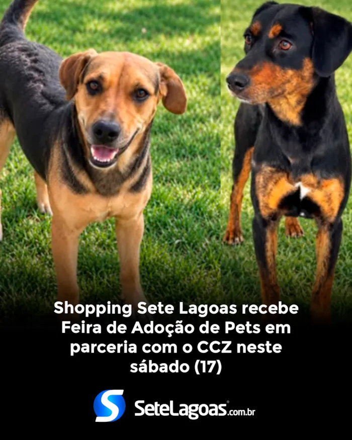 Evento Feira de adoção de cães e gatos em Sete Lagoas