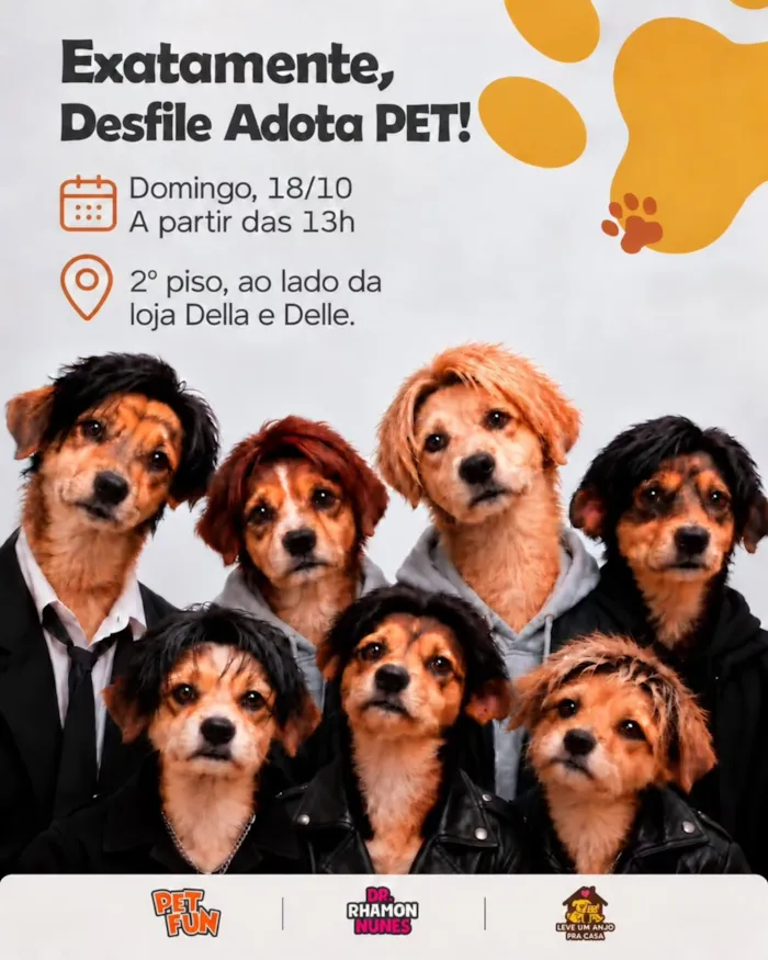 Feira de adoção no São Gonçalo Shopping - imagem 2