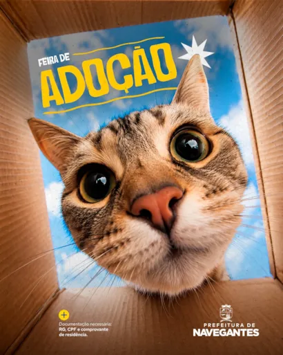 Evento de adoção em Navegantes acontece em 17 de outubro, das 9h às 13h, no Komprão, com pets à espera de uma família.