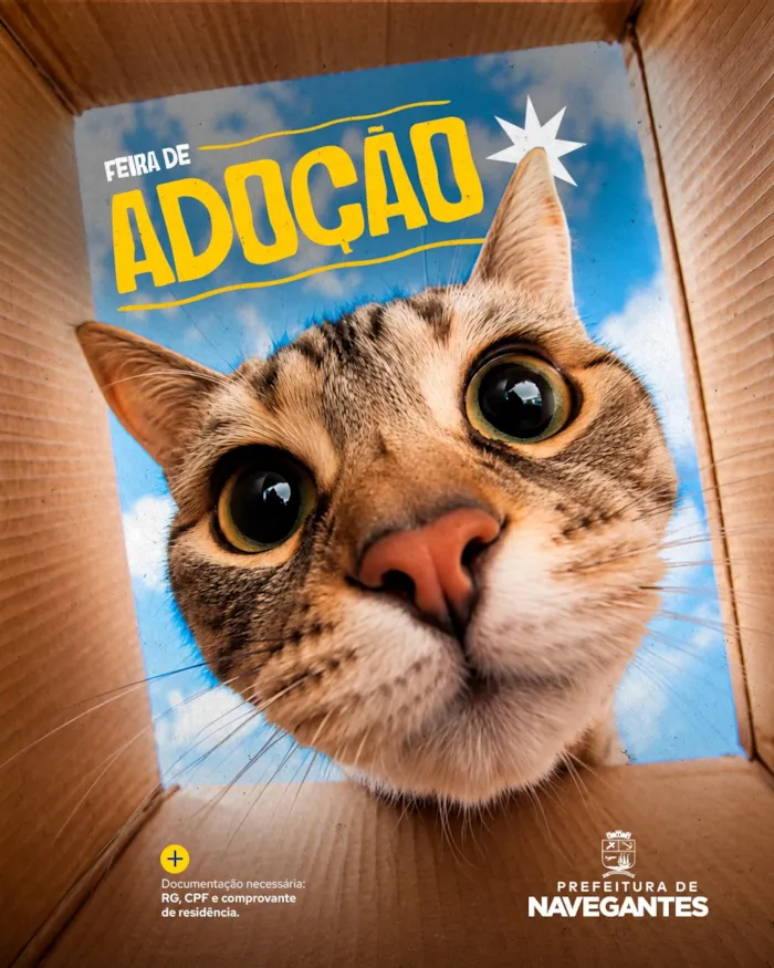 Evento de adoção em Navegantes acontece em 17 de outubro, das 9h às 13h, no Komprão, com pets à espera de uma família.