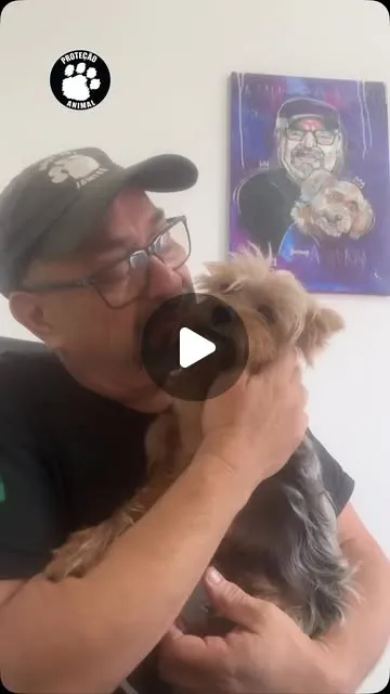 Evento de adoção de animais em São Paulo
