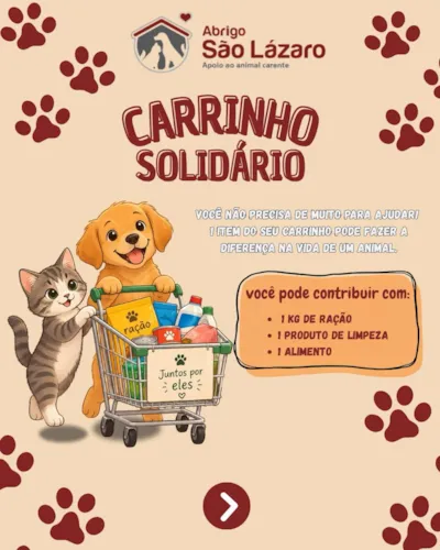 Feira de adoção para cães e gatos em Fortaleza
