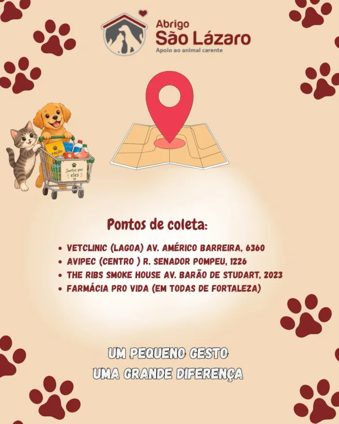 Feira de adoção para cães e gatos em Fortaleza - imagem 2