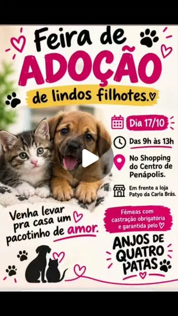 Feira de filhotes em Penápolis acontece em 17 de outubro, das 9h às 13h, no Shopping do Centro, com cães e gatos para adoção.