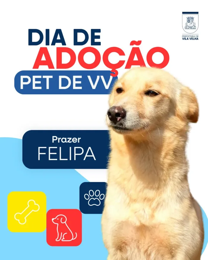 Campanha de adoção pet em Vila Velha acontece em 17 de outubro, na Praça de Coqueiral de Itaparica, com cães e gatos à espera de um lar.