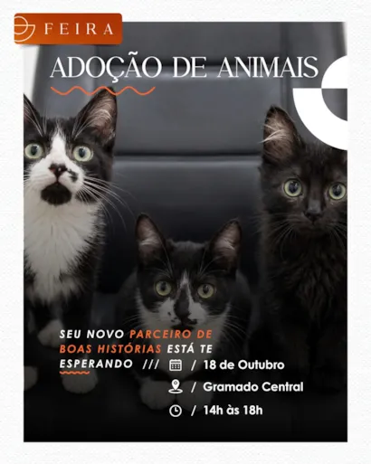 Feira de adoção em Porto Alegre no Cais Embarcadero