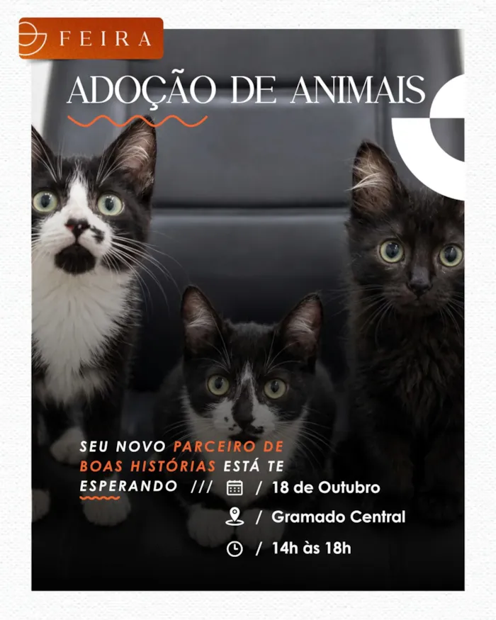 Feira de animais em Porto Alegre acontece em 18 de outubro, das 14h às 18h, no Cais Embarcadero, com pets à espera de um lar.