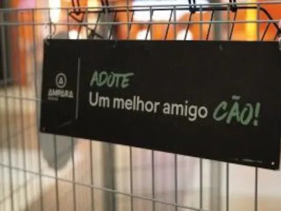 Feira de adoção de cães e gatos no Recife neste sábado