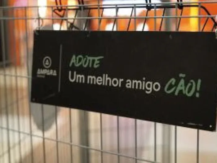 Feira de adoção de cães e gatos no Recife neste sábado (17/10), das 11h às 18h, na Galeria Carrefour Recife. Adote um amigo e mude uma vida! Veja mais.