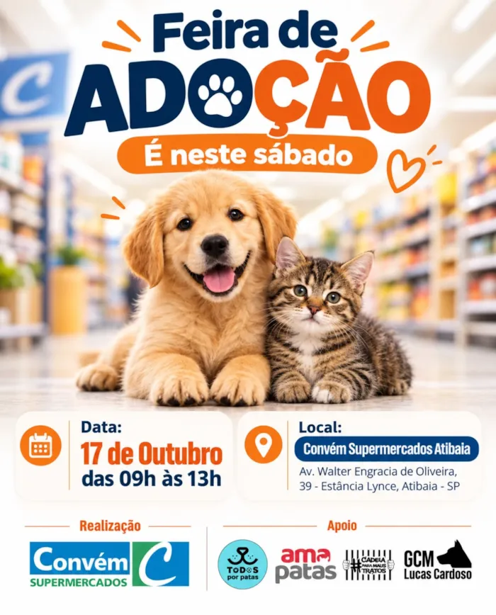 Feira de adoção em Atibaia acontece em 17 de outubro, das 9h às 13h, no Convém Supermercados, com cães e gatos à espera de um lar.