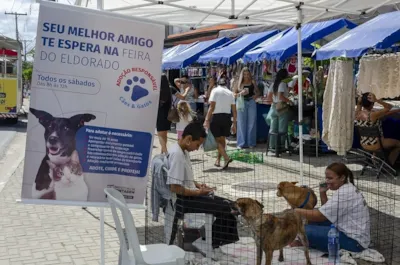 Feira de adoção de cães e gatos em Contagem