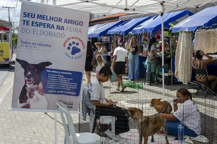 Feira de cães e gatos em Contagem acontece em 17 de outubro, das 8h às 12h, com animais vacinados, microchipados e vermifugados.
