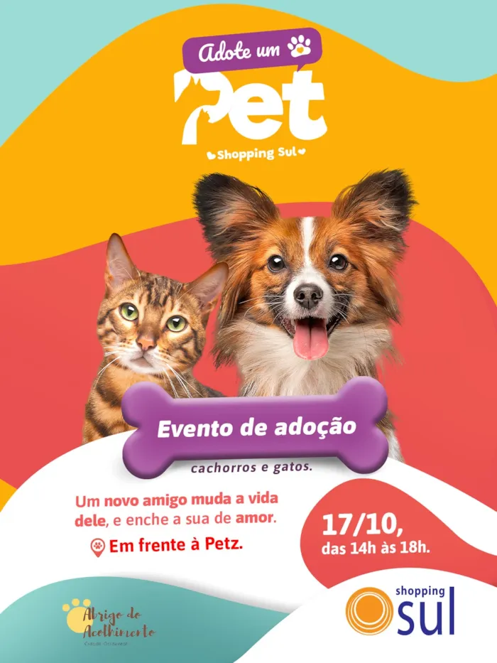 Feira de adoção em Valparaíso de Goiás acontece em 17 de outubro, das 14h às 18h, com cães e gatos no Shopping Sul.