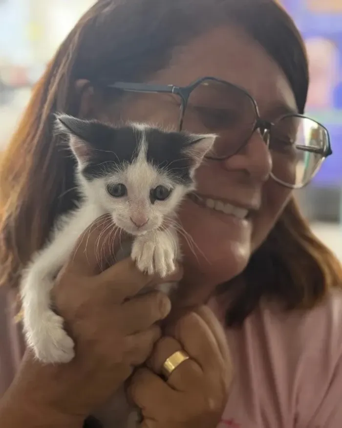 Feira de adoção de cães e gatos em Cabo Frio - imagem 2