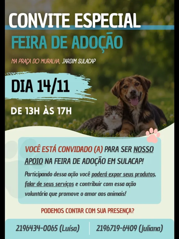 Feira de adoção em Sulacap, no Rio de Janeiro, acontece em 14 de novembro, das 13h às 17h, com cães e gatos para adoção responsável.