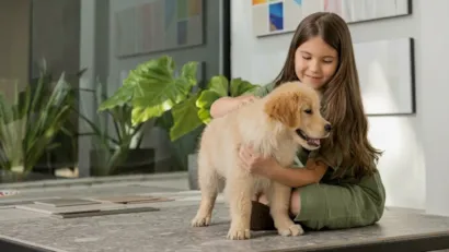Feira de adoção de animais em Balneário Camboriú
