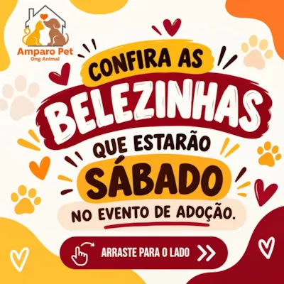 Evento de adoção da Amparo Pet em Uberlândia