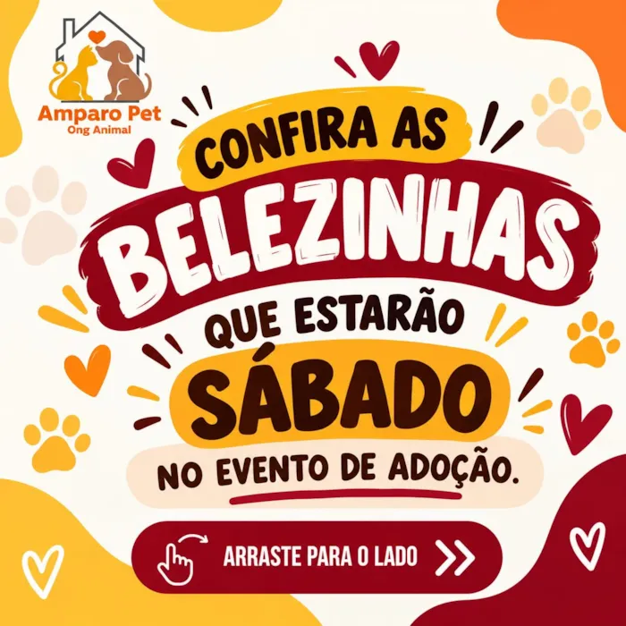 Evento de adoção em Uberlândia acontece em 17 de outubro, das 10h às 14h, na BAHAPET, com cães e gatos à espera de um lar.