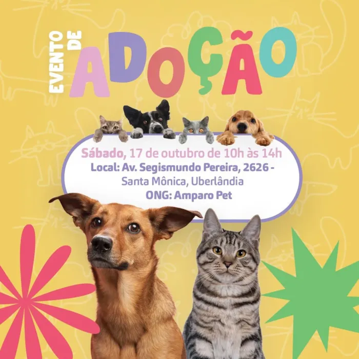 Evento de adoção da Amparo Pet em Uberlândia - imagem 9